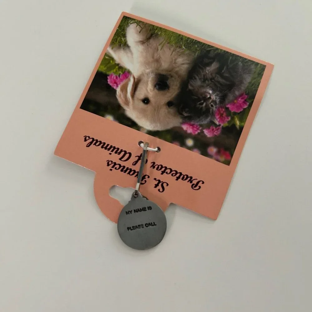 Pet Small Animal Charm St Francis Protector Of Animals